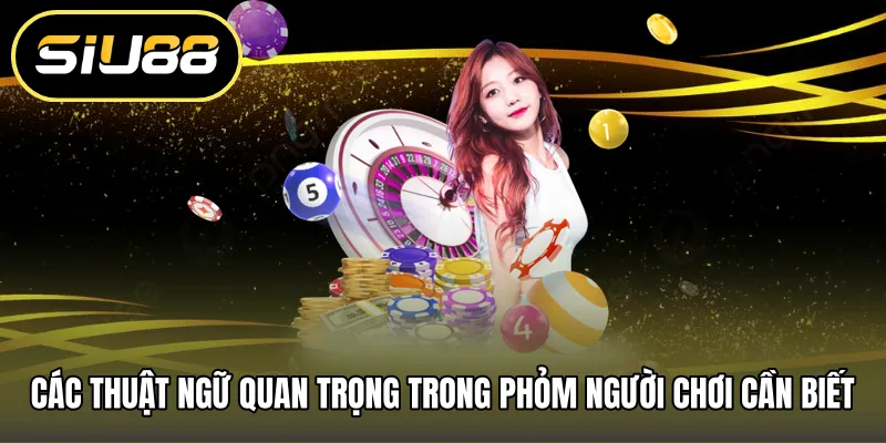 Các thuật ngữ quan trọng trong phỏm người chơi cần biết
