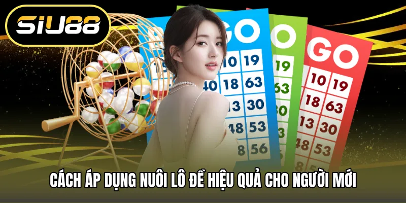 Cách áp dụng nuôi lô đề hiệu quả cho người mới