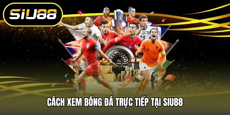 Cách xem bóng đá trực tiếp tại SIU88