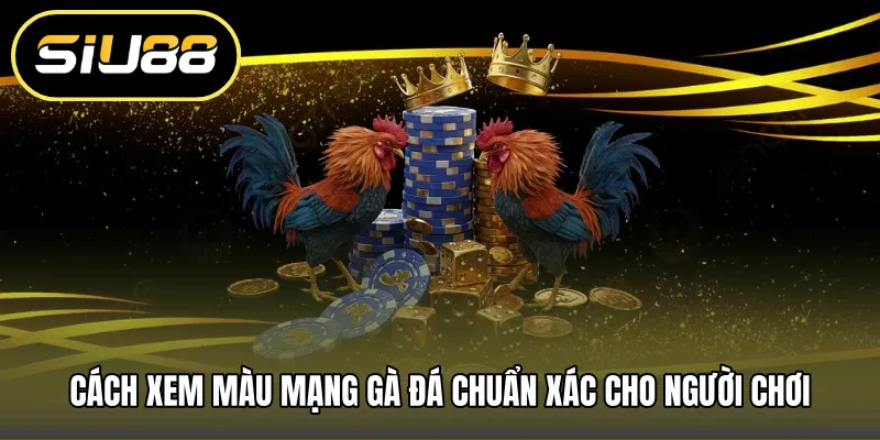 Cách xem màu mạng gà đá chuẩn xác cho người chơi