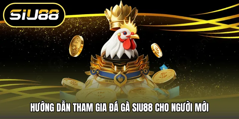 Hướng dẫn tham gia đá gà SIU88 cho người mới