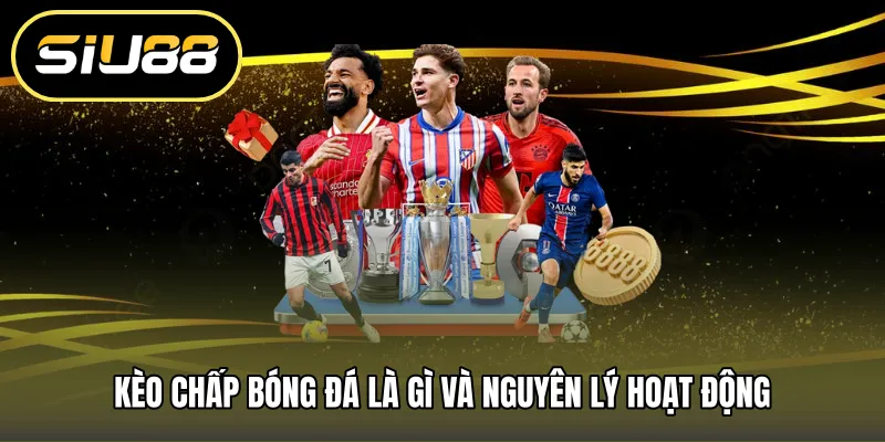 Kèo chấp bóng đá là gì và nguyên lý hoạt động