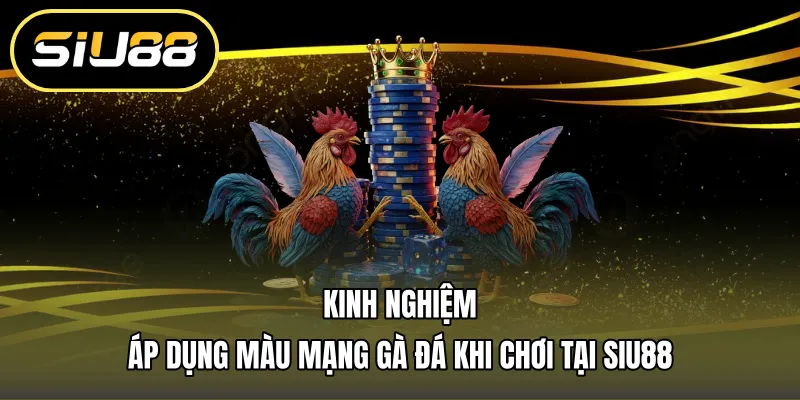 Kinh nghiệm áp dụng màu mạng gà đá khi chơi tại SIU88