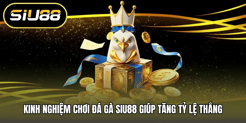 Kinh nghiệm chơi đá gà SIU88 giúp tăng tỷ lệ thắng