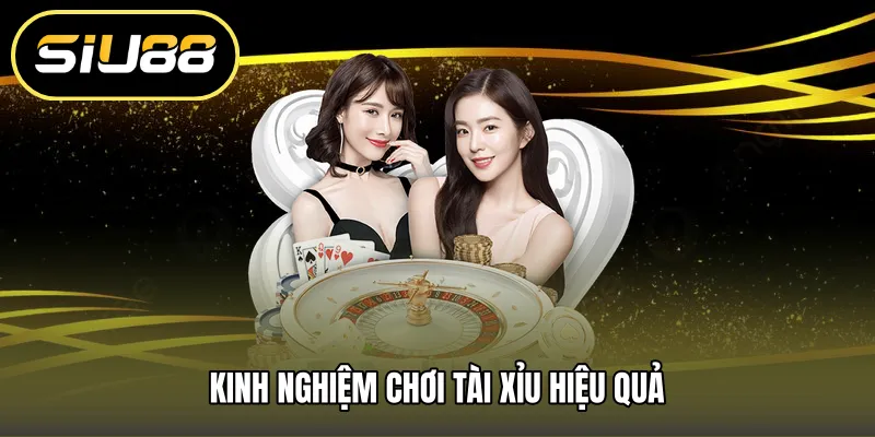 Kinh nghiệm chơi tài xỉu hiệu quả