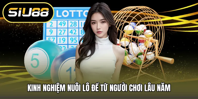 Kinh nghiệm nuôi lô đề từ người chơi lâu năm