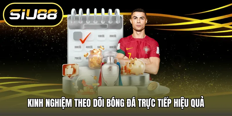 Kinh nghiệm theo dõi bóng đá trực tiếp hiệu quả