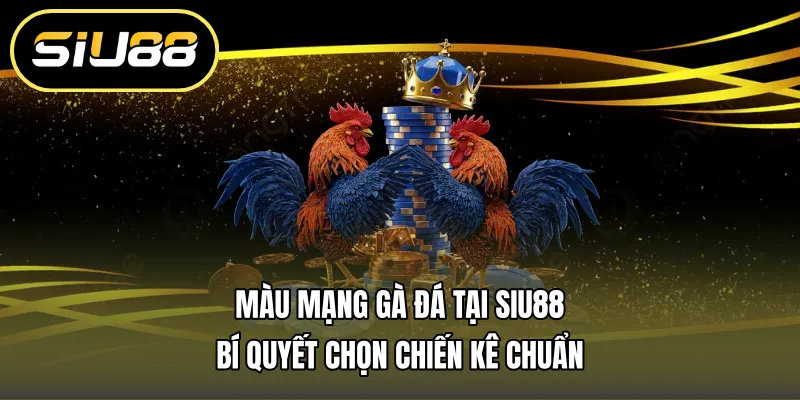 Màu Mạng Gà Đá Tại Siu88 – Bí Quyết Chọn Chiến Kê Chuẩn