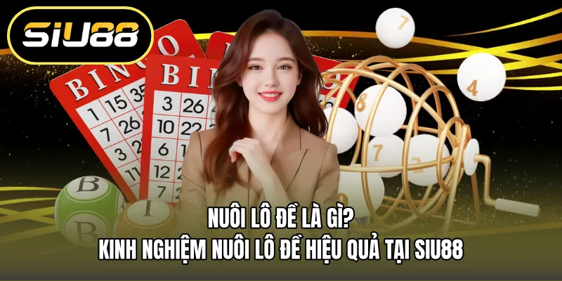 NUÔI LÔ ĐỀ LÀ GÌ? KINH NGHIỆM NUÔI LÔ ĐỀ HIỆU QUẢ TẠI SIU88