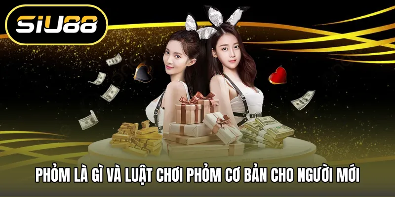 Phỏm là gì và luật chơi phỏm cơ bản cho người mới